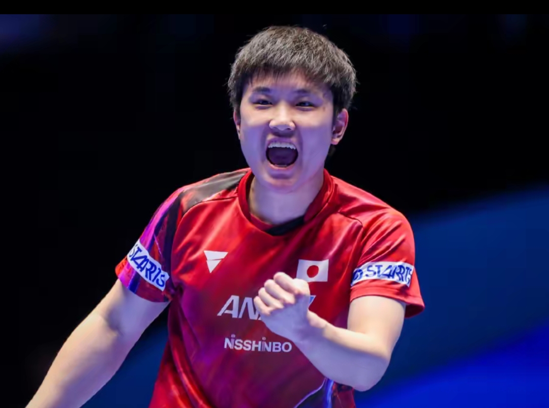 结合精细的 结合精细的